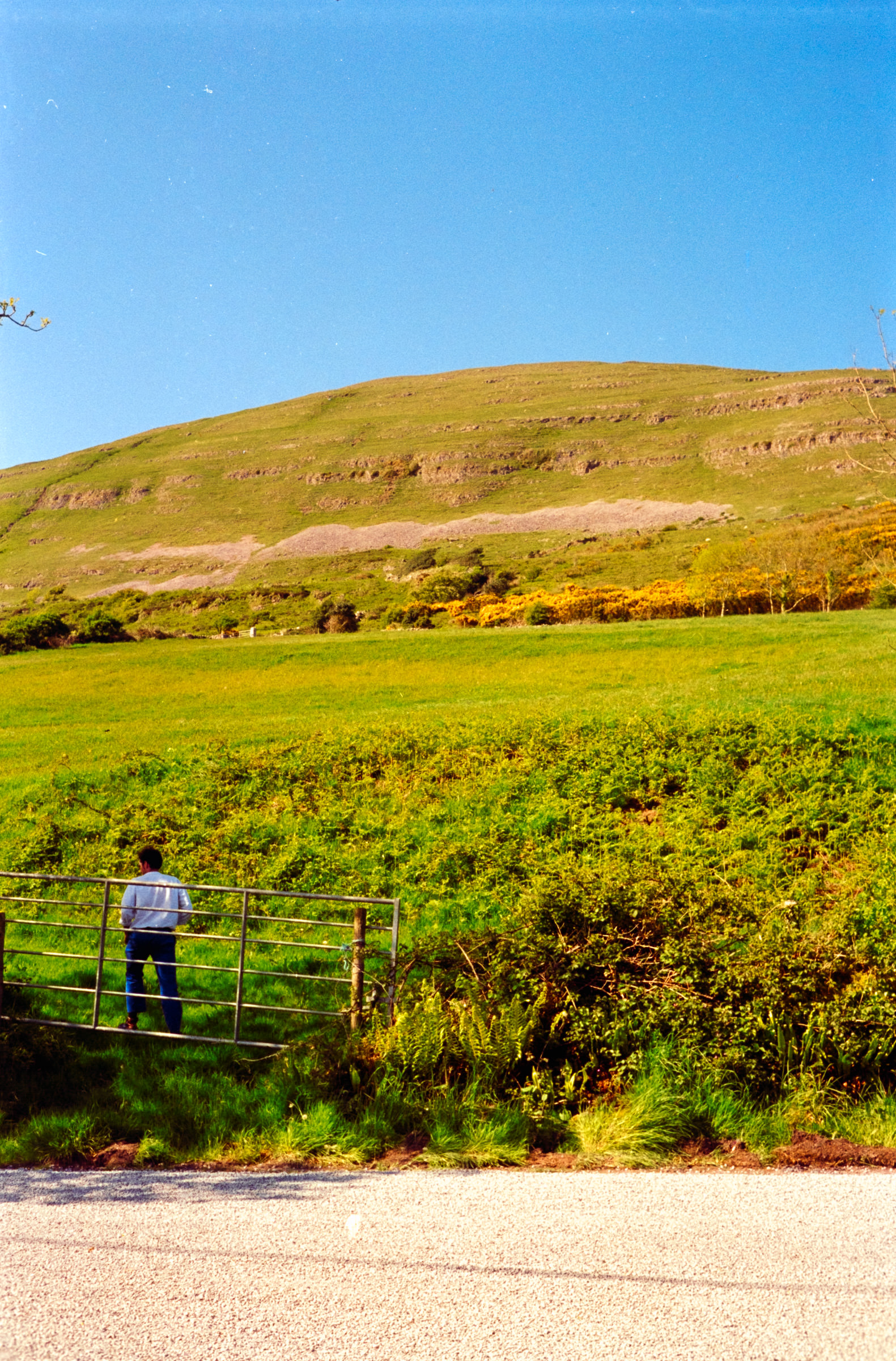 AHP F1998 05 003 sc240815 img22 NLP